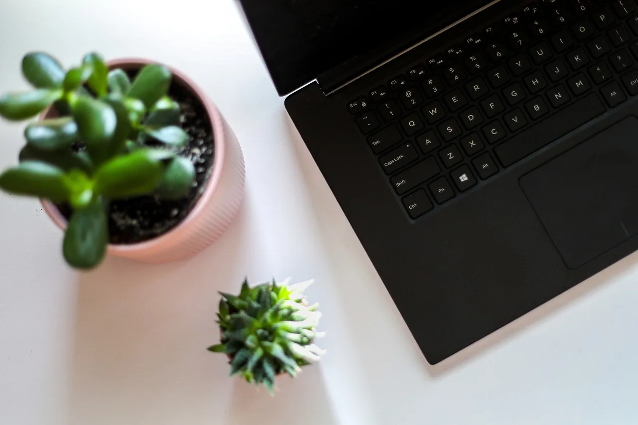 laptop, plant, desk, notebook, tech, computer, table, office, work, nature, programmer, business, coffee, website, technology, pen, creative, life, paper, placeholder, succulent, cactus, green, botanical, leaves, home